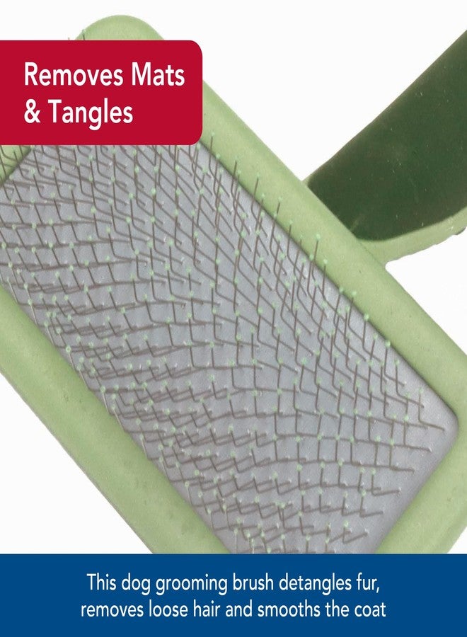 Coastal Pet Safari Dog Soft Slicker Brush - Dog Grooming Brush for Shedding - for Dogs with Short, Medium and Long Hair - Medium - 6.25" x 3.5" - Image 4
